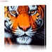 Картина по номерам "Тигр" PBN0007, размер 30х30 см