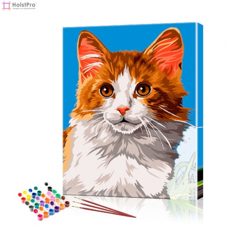 Картина по номерам "Рыжий кот" PBN0031, размер 30х40 см