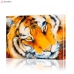 Картина по номерам "Тигрица" PBN0035, размер 30х40 см