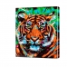 Картина по номерам "Тигр на зеленом" PBN0037, размер 30х40 см