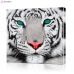 Картина по номерам "Белый тигр" PBN0080, размер 40х40 см