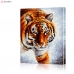 Картина по номерам "Тигр на охоте" PBN0120, размер 40х50 см