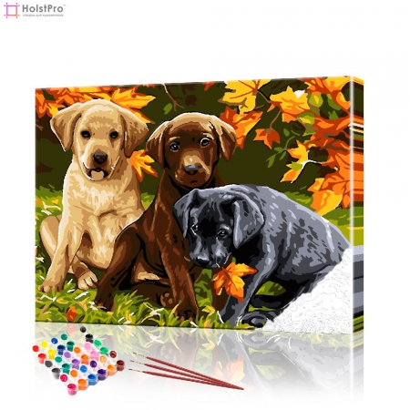 Картина по номерам "Три щенка" PBN0495, размер 40х50 см
