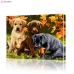 Картина по номерам "Три щенка" PBN0495, размер 40х50 см