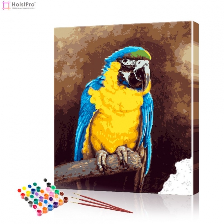 Картина по номерам "Попугай" PBN0605, размер 40х50 см