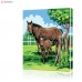 Картина по номерам "Домашние лошади" PBN0689, размер 40х50 см