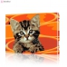 Картина по номерам "Котёнок на оранжевом фоне" PBN0453, размер 40х50 см