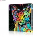 Картина по номерам "Цветная кошка" PBN0559, размер 40х50 см