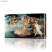 Картина по номерам "Рождение Венеры" PBN0196, размер 40х60 см