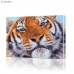 Картина по номерам "Взгляд тигра" PBN0230, размер 40х60 см
