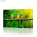 Картина по номерам "Попугаи" PBN0351, размер 40х60 см