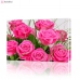 Картина по номерам "Прекрасные розы" PBN0365, размер 40х60 см